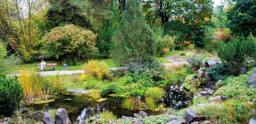 Forschung und Vergnügen: Botanischer Garten Dresden - Top Magazin Dresden